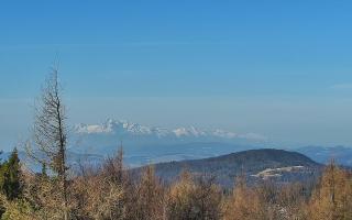 Jaworzyna Krynicka 2 - 16-03-2026 07:17