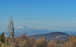 Jaworzyna Krynicka 2 - 16-03-2026 07:24