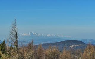 Jaworzyna Krynicka 2 - 16-03-2026 07:32