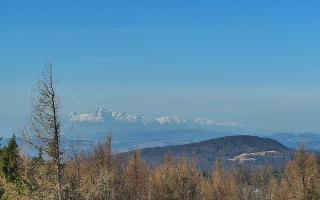 Jaworzyna Krynicka 2 - 16-03-2026 07:39