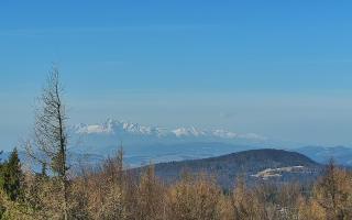 Jaworzyna Krynicka 2 - 16-03-2026 07:47