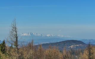 Jaworzyna Krynicka 2 - 16-03-2026 07:54