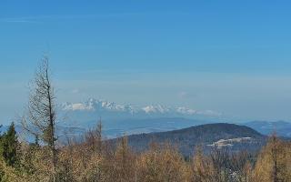 Jaworzyna Krynicka 2 - 16-03-2026 08:02