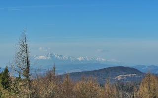 Jaworzyna Krynicka 2 - 16-03-2026 08:10