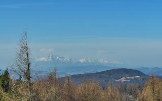 Jaworzyna Krynicka 2 - 16-03-2026 08:17