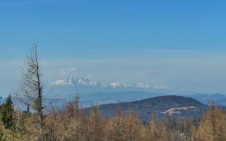 Jaworzyna Krynicka 2 - 16-03-2026 08:25