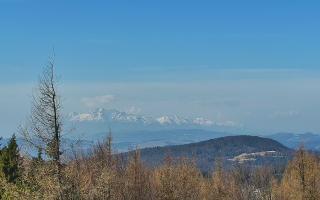 Jaworzyna Krynicka 2 - 16-03-2026 08:32