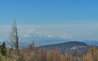 Jaworzyna Krynicka 2 - 16-03-2026 08:40