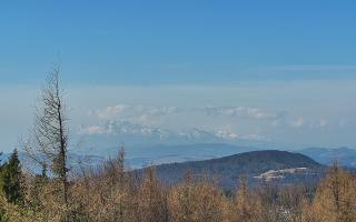 Jaworzyna Krynicka 2 - 16-03-2026 08:55