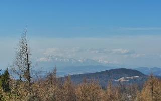 Jaworzyna Krynicka 2 - 16-03-2026 09:03