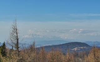 Jaworzyna Krynicka 2 - 16-03-2026 09:18