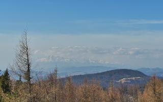 Jaworzyna Krynicka 2 - 16-03-2026 09:26