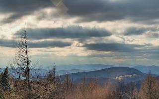 Jaworzyna Krynicka 2 - 21-03-2026 13:51