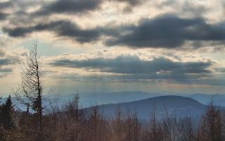 Jaworzyna Krynicka 2 - 21-03-2026 14:44