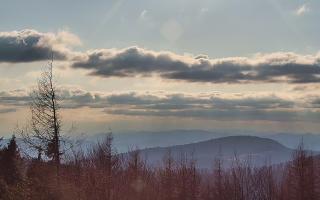 Jaworzyna Krynicka 2 - 21-03-2026 15:07