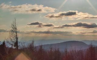 Jaworzyna Krynicka 2 - 21-03-2026 15:29