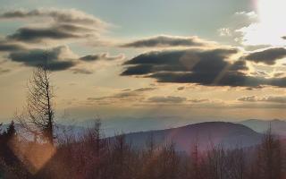 Jaworzyna Krynicka 2 - 21-03-2026 15:52