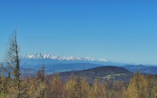 Jaworzyna Krynicka 2 - 03-05-2026 07:42