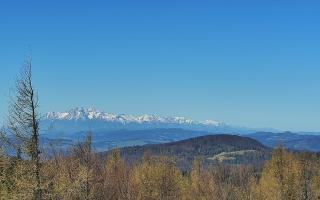 Jaworzyna Krynicka 2 - 03-05-2026 07:49