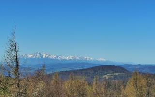 Jaworzyna Krynicka 2 - 03-05-2026 08:04