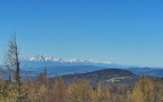 Jaworzyna Krynicka 2 - 03-05-2026 08:20