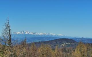 Jaworzyna Krynicka 2 - 03-05-2026 08:27