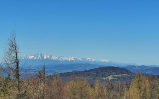 Jaworzyna Krynicka 2 - 03-05-2026 08:42