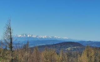 Jaworzyna Krynicka 2 - 03-05-2026 09:43
