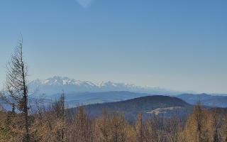 Jaworzyna Krynicka 2 - 03-05-2026 12:15