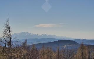 Jaworzyna Krynicka 2 - 03-05-2026 14:01