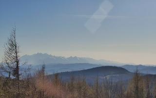 Jaworzyna Krynicka 2 - 03-05-2026 15:25