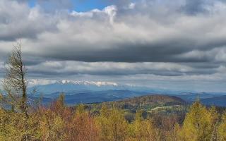 Jaworzyna Krynicka 2 - 13-05-2026 07:17