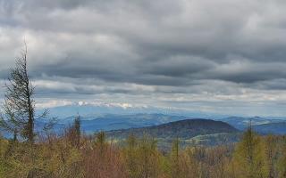 Jaworzyna Krynicka 2 - 13-05-2026 07:25