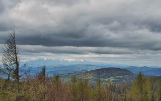 Jaworzyna Krynicka 2 - 13-05-2026 07:48