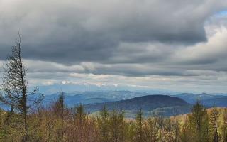 Jaworzyna Krynicka 2 - 13-05-2026 07:55