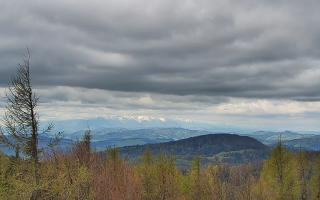 Jaworzyna Krynicka 2 - 13-05-2026 08:18