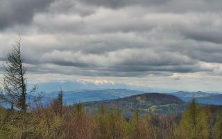 Jaworzyna Krynicka 2 - 13-05-2026 08:56