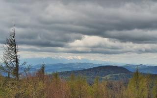 Jaworzyna Krynicka 2 - 13-05-2026 09:04
