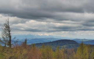 Jaworzyna Krynicka 2 - 13-05-2026 09:11