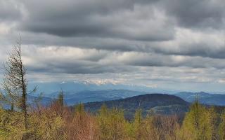 Jaworzyna Krynicka 2 - 13-05-2026 09:19