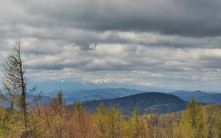 Jaworzyna Krynicka 2 - 13-05-2026 09:26