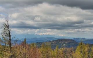 Jaworzyna Krynicka 2 - 13-05-2026 09:34