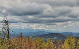 Jaworzyna Krynicka 2 - 13-05-2026 09:42