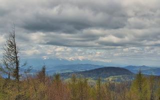 Jaworzyna Krynicka 2 - 13-05-2026 09:49