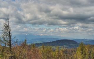 Jaworzyna Krynicka 2 - 13-05-2026 10:04