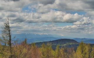 Jaworzyna Krynicka 2 - 13-05-2026 10:27