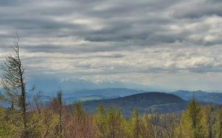 Jaworzyna Krynicka 2 - 13-05-2026 11:35
