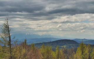 Jaworzyna Krynicka 2 - 13-05-2026 11:43