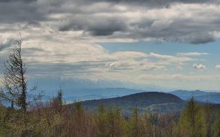 Jaworzyna Krynicka 2 - 13-05-2026 12:44