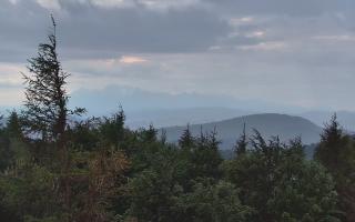 Jaworzyna Krynicka 2 - 12-06-2026 18:56